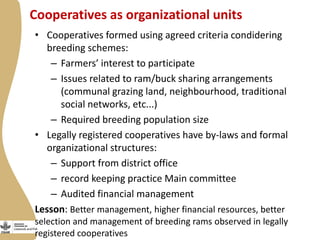 Enabling environment for success of sheep breeding programs