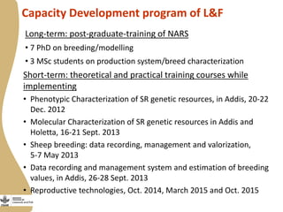 Enabling environment for success of sheep breeding programs