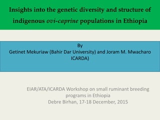 Insights into the genetic diversity and structure of
indigenous ovi-caprine populations in Ethiopia
By
Getinet Mekuriaw (Bahir Dar University) and Joram M. Mwacharo
ICARDA)
EIAR/ATA/ICARDA Workshop on small ruminant breeding
programs in Ethiopia
Debre Birhan, 17-18 December, 2015
 