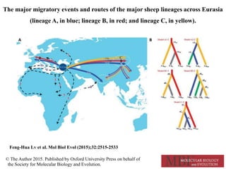 Insights into the genetic diversity and structure of indigenous ovi-caprine populations in Ethiopia