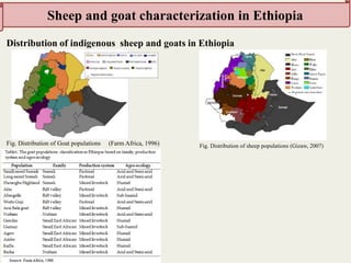 Insights into the genetic diversity and structure of indigenous ovi-caprine populations in Ethiopia
