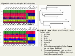 Insights into the genetic diversity and structure of indigenous ovi-caprine populations in Ethiopia
