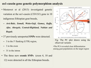 Insights into the genetic diversity and structure of indigenous ovi-caprine populations in Ethiopia