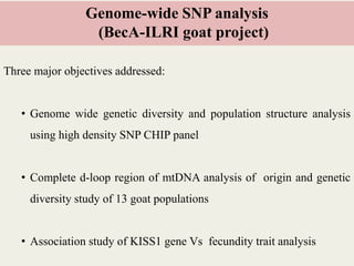Insights into the genetic diversity and structure of indigenous ovi-caprine populations in Ethiopia