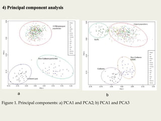 Insights into the genetic diversity and structure of indigenous ovi-caprine populations in Ethiopia