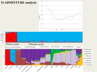 Insights into the genetic diversity and structure of indigenous ovi-caprine populations in Ethiopia