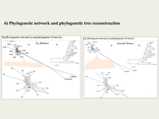 Insights into the genetic diversity and structure of indigenous ovi-caprine populations in Ethiopia