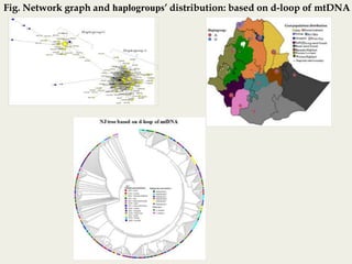 Insights into the genetic diversity and structure of indigenous ovi-caprine populations in Ethiopia