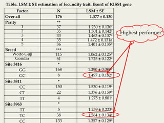 Insights into the genetic diversity and structure of indigenous ovi-caprine populations in Ethiopia