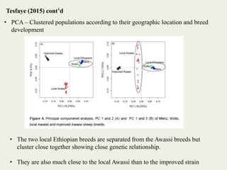 Insights into the genetic diversity and structure of indigenous ovi-caprine populations in Ethiopia