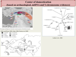 Insights into the genetic diversity and structure of indigenous ovi-caprine populations in Ethiopia