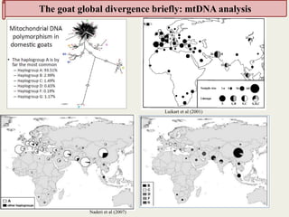 Insights into the genetic diversity and structure of indigenous ovi-caprine populations in Ethiopia