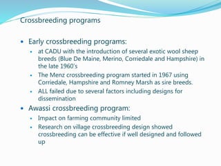 Small ruminant research and development in Ethiopia 