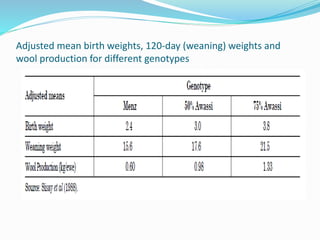 Small ruminant research and development in Ethiopia 