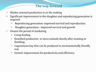 Small ruminant research and development in Ethiopia 