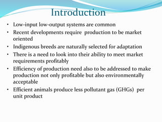 Small ruminant research and development in Ethiopia 