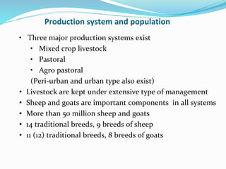 Small ruminant research and development in Ethiopia 