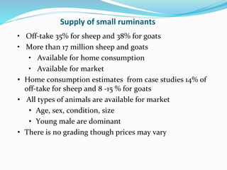 Small ruminant research and development in Ethiopia 