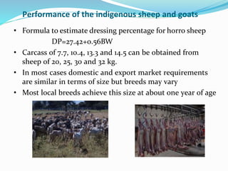 Small ruminant research and development in Ethiopia 