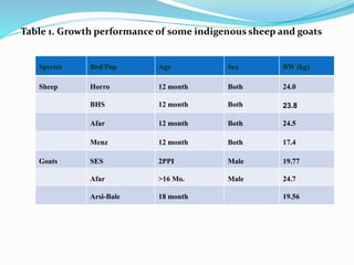 Small ruminant research and development in Ethiopia 