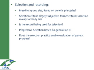 Breeding schemes for sustainable small ruminant genetic improvement in Ethiopia