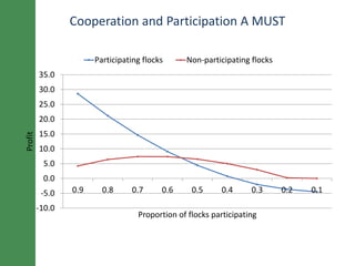 Breeding schemes for sustainable small ruminant genetic improvement in Ethiopia