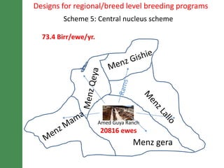 Breeding schemes for sustainable small ruminant genetic improvement in Ethiopia