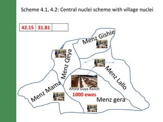 Breeding schemes for sustainable small ruminant genetic improvement in Ethiopia