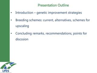 Breeding schemes for sustainable small ruminant genetic improvement in Ethiopia