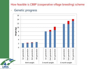 Breeding schemes for sustainable small ruminant genetic improvement in Ethiopia