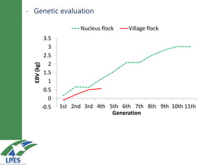 Breeding schemes for sustainable small ruminant genetic improvement in Ethiopia