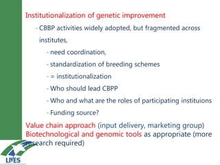 Breeding schemes for sustainable small ruminant genetic improvement in Ethiopia