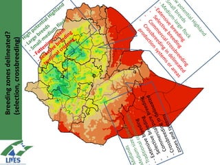 Breeding schemes for sustainable small ruminant genetic improvement in Ethiopia