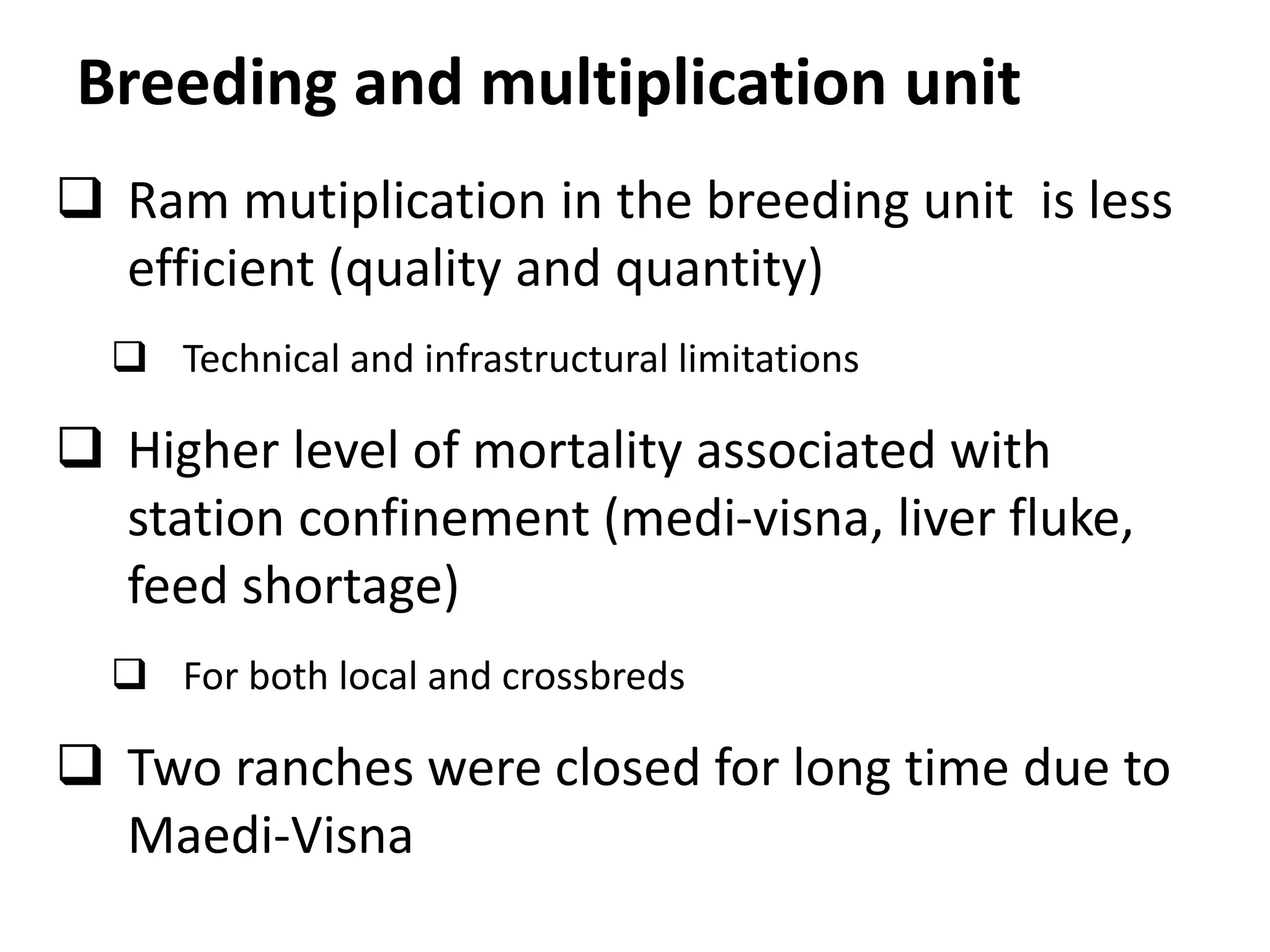 Multiplication Breeding Sheep crossbreeding in Ethiopia | PPTX