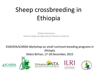 Sheep crossbreeding in
Ethiopia
Tesfaye Getachew
Amhara Regional Agricultural Research Institute
EIAR/ATA/ICARDA Workshop on small ruminant breeding programs in
Ethiopia
Debre Birhan, 17-18 December, 2015
 