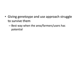 Sheep crossbreeding in Ethiopia
