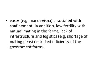 Sheep crossbreeding in Ethiopia