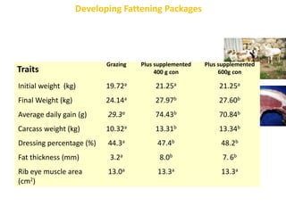 Sheep crossbreeding in Ethiopia