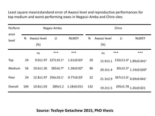 Sheep crossbreeding in Ethiopia