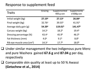 Sheep crossbreeding in Ethiopia