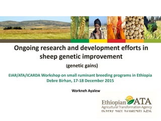 Ongoing research and development efforts in
sheep genetic improvement
(genetic gains)
EIAR/ATA/ICARDA Workshop on small ruminant breeding programs in Ethiopia
Debre Birhan, 17-18 December 2015
Workneh Ayalew
 