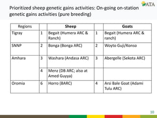 Ongoing research and development efforts in sheep genetic improvement  (genetic gains)
