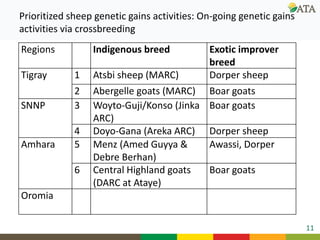 Ongoing research and development efforts in sheep genetic improvement  (genetic gains)
