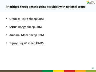 Ongoing research and development efforts in sheep genetic improvement  (genetic gains)