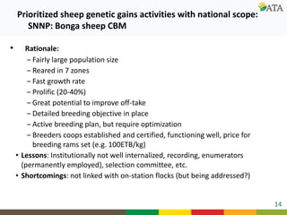 Ongoing research and development efforts in sheep genetic improvement  (genetic gains)
