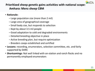 Ongoing research and development efforts in sheep genetic improvement  (genetic gains)