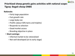 Ongoing research and development efforts in sheep genetic improvement  (genetic gains)