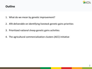 Ongoing research and development efforts in sheep genetic improvement  (genetic gains)