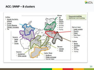 Ongoing research and development efforts in sheep genetic improvement  (genetic gains)