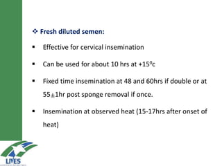  Fresh diluted semen:
 Effective for cervical insemination
 Can be used for about 10 hrs at +150c
 Fixed time insemination at 48 and 60hrs if double or at
55±1hr post sponge removal if once.
 Insemination at observed heat (15-17hrs after onset of
heat)
 